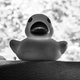 Behold, Jeep duck.